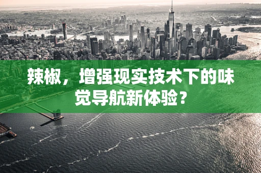 辣椒，增强现实技术下的味觉导航新体验？