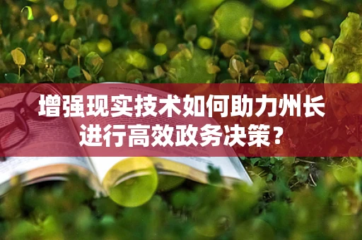 增强现实技术如何助力州长进行高效政务决策？