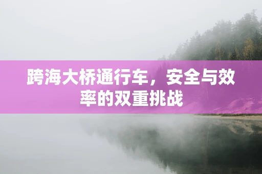 跨海大桥通行车，安全与效率的双重挑战