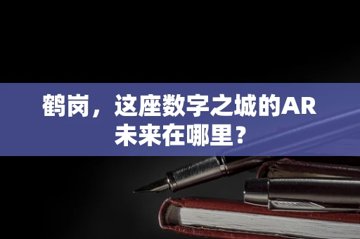 鹤岗，这座数字之城的AR未来在哪里？