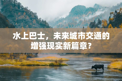 水上巴士，未来城市交通的增强现实新篇章？