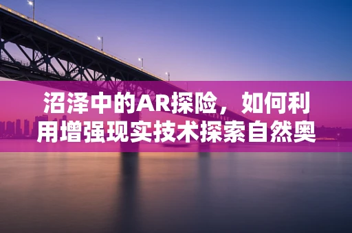 沼泽中的AR探险，如何利用增强现实技术探索自然奥秘？