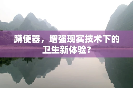 蹲便器，增强现实技术下的卫生新体验？