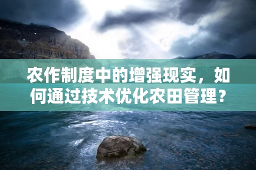 农作制度中的增强现实，如何通过技术优化农田管理？