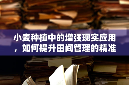 小麦种植中的增强现实应用，如何提升田间管理的精准度？