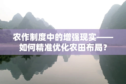 农作制度中的增强现实——如何精准优化农田布局？