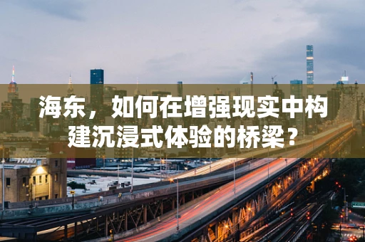 海东，如何在增强现实中构建沉浸式体验的桥梁？