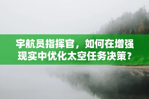 宇航员指挥官，如何在增强现实中优化太空任务决策？