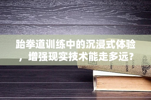 跆拳道训练中的沉浸式体验，增强现实技术能走多远？