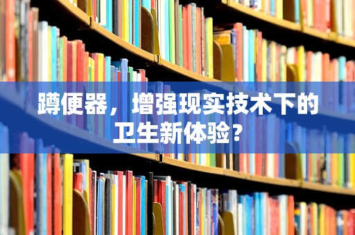 蹲便器，增强现实技术下的卫生新体验？