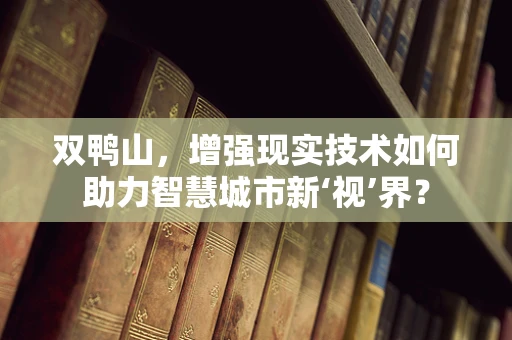 双鸭山，增强现实技术如何助力智慧城市新‘视’界？