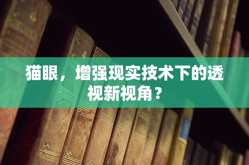 猫眼，增强现实技术下的透视新视角？