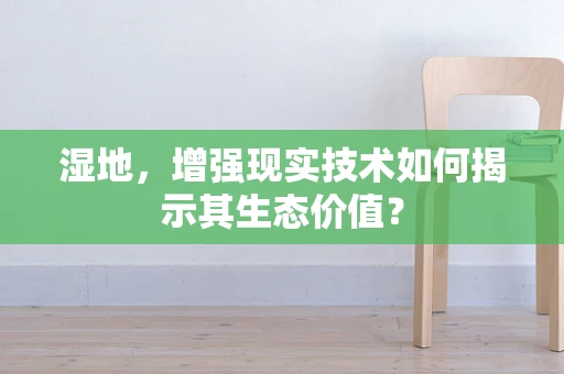 湿地，增强现实技术如何揭示其生态价值？